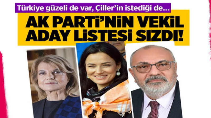 AK Parti'nin milletvekili aday listesi sızdı iddiası! Türkiye güzeli de listede Türkeş'in oğlu 1