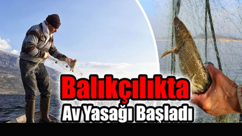 Av Yasağı Başladı