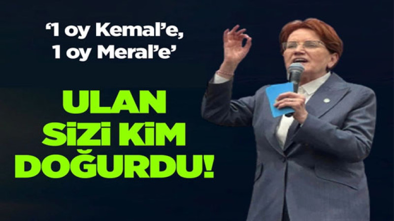 Meral Akşener Denizli'den çıkıştı: Ulan sizi kim doğurdu!