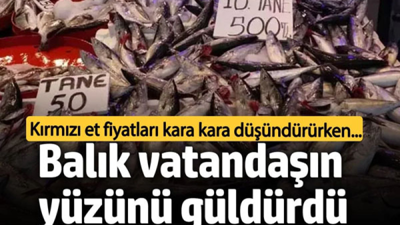 Kırmızı et fiyatları endişe yaratırken, balık fiyatları vatandaşları sevindirdi.