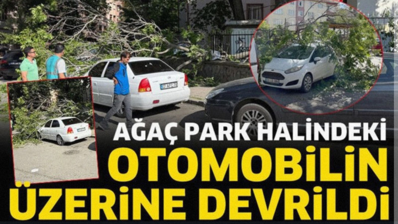 Isparta’da park halindeki otomobilin üzerine gövdesinden kırılan ağaç devrildi.