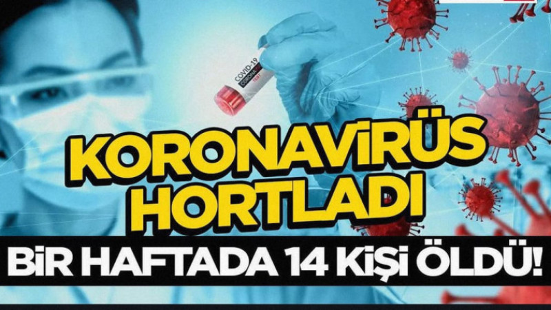 Koronavirüs Hortladı: Bir Haftada 14 Kişi Öldü!