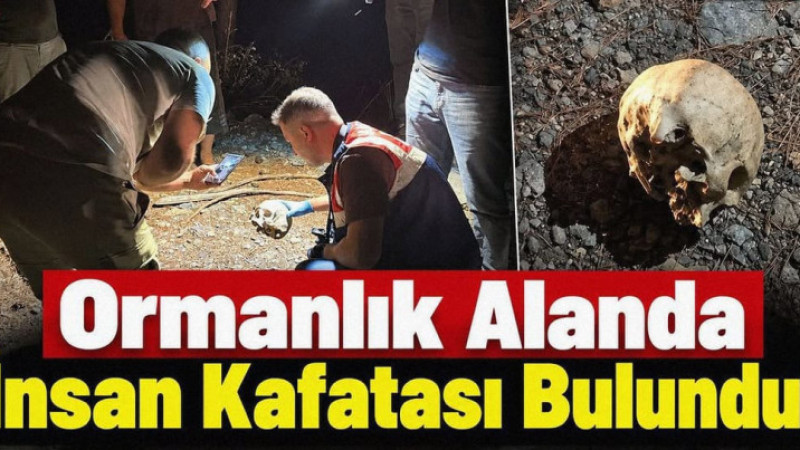 Ormanlık Alanda İnsan Kafatası Bulundu!