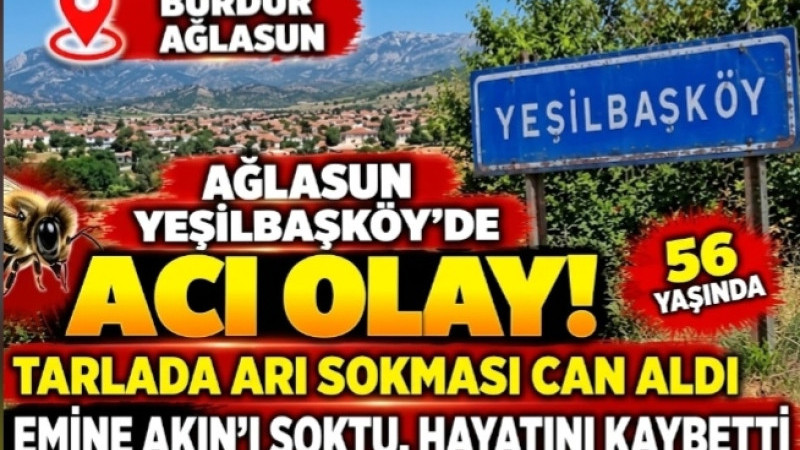 BURDUR’DA ACI OLAY! TARLADA ARI SOKMASI CAN ALDI