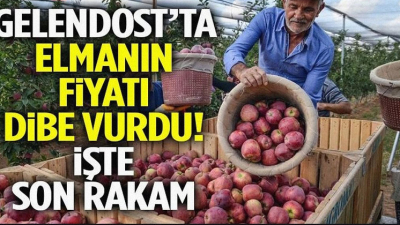 Gelendost’ta Elma Üreticisine Büyük Darbe: Sanayilik Elmanın Fiyatı Dibe Vurdu!