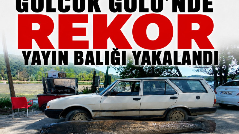 Gölcük Gölü’nde Rekor Yayın Balığı Yakalandı