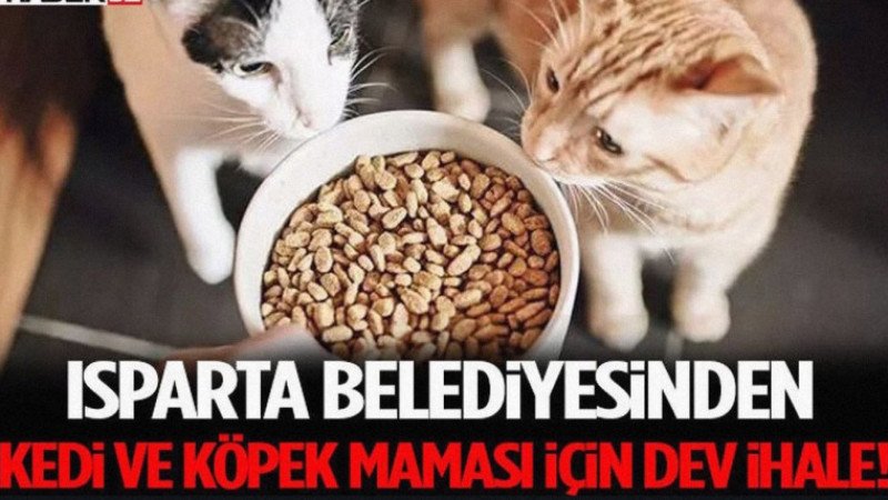 Isparta Belediyesinden Kedi Ve Köpek Maması İçin Dev İhale!
