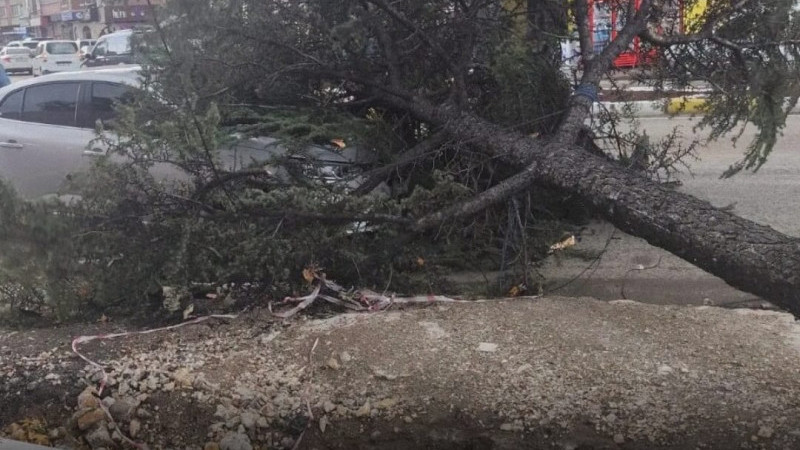 Eğirdir’de öğle saatlerinde etkisini artıran kuvvetli rüzgar, ilçe merkezinde zarara yol açtı.
