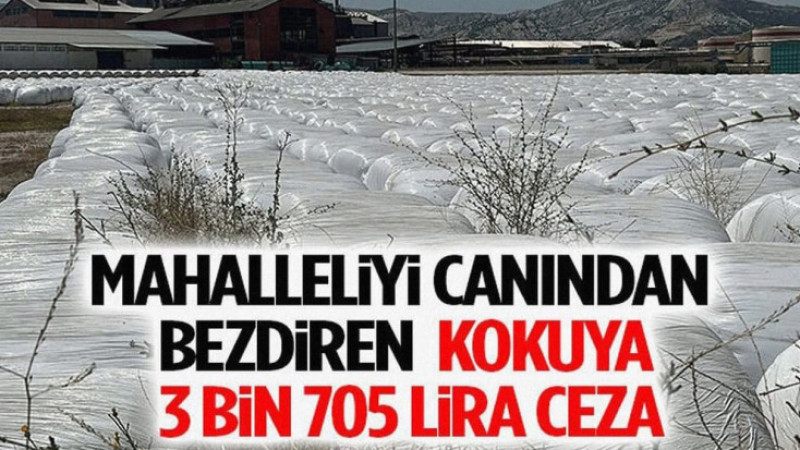 Mahalleliyi Canından Bezdiren Kokuya 3 Bin 705 Lira Ceza
