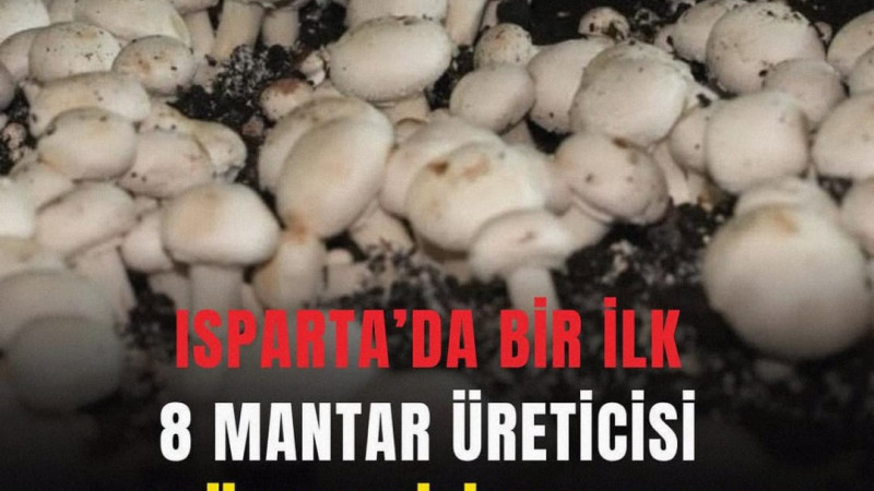 Isparta’da ilk kez 2026 yılında uygulamaya alınan EKÜY (Entegre ve Kontrollü Ürün Yönetimi) Mantar P