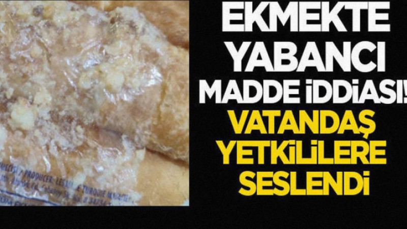 Ekmekte Yabancı Madde İddiası! - Yetkililere Seslendi