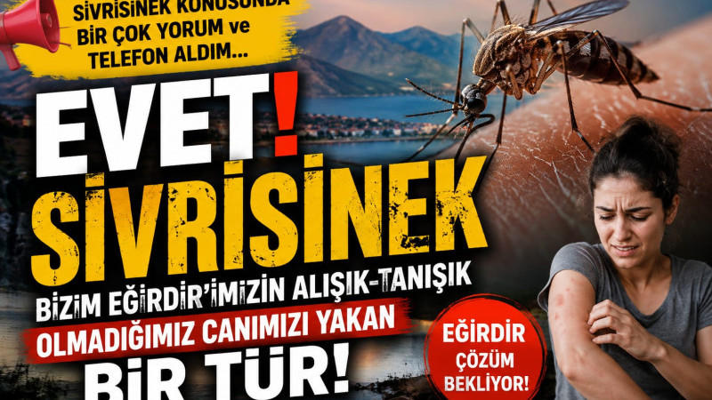 SİVRİSİNEK  KONUSUNDA BİR ÇOK YORUM ve TELEFON ALDIM… EVET SİVRİSİNEK BİZİM EĞİRDİR’İMİZİN ALIŞIK-TA