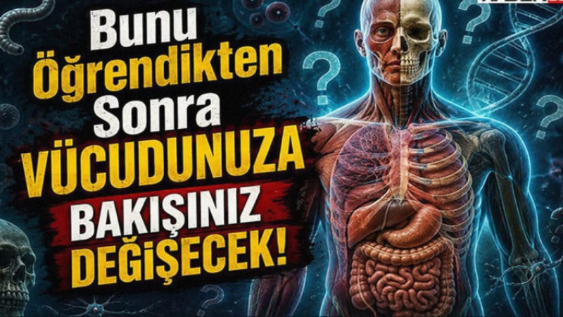 Bunu Öğrendikten Sonra Vücudunuza Bakışınız Değişecek!