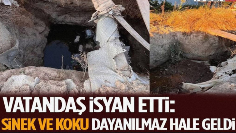 Vatandaş İsyan Etti: Sinek ve Koku Dayanılmaz Hale Geldi