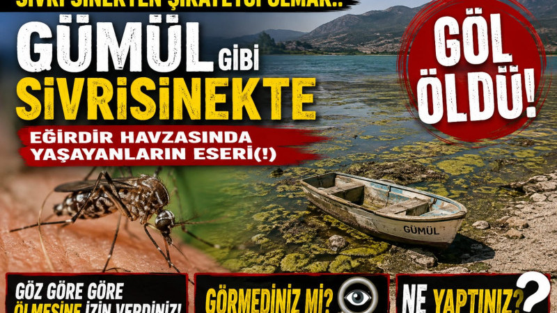 SİVRİ SİNEKTEN ŞİKAYETCİ OLMAK.. GÜMÜL GİBİ SİVRİSİNEKTE EĞİRDİR HAVZASINDA YAŞAYANLARIN ESERİ(!) GÖ