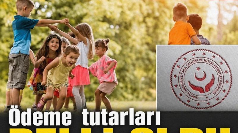 Aile ve Sosyal Hizmetler Bakanlığının doğum yardımı programına başvurular sürüyor. Destek kapsamında