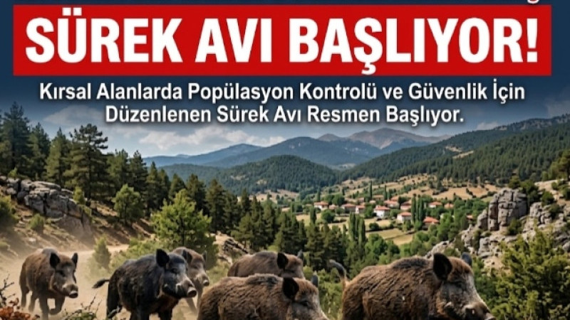 ISPARTA’DA YABAN DOMUZLARINA KARŞI SÜREK AVI BAŞLIYOR!