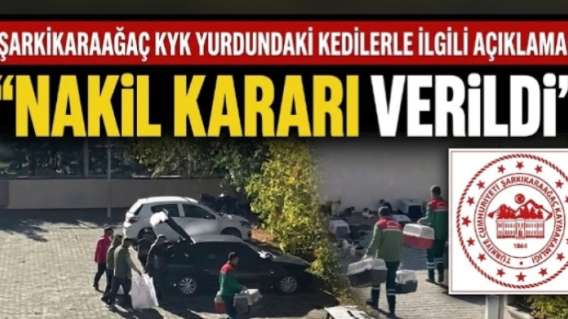 Şarkikaraağaç’ta Kedi Tartışmasına Kaymakamlık Yanıtı: Nakil Kararı Alındı!