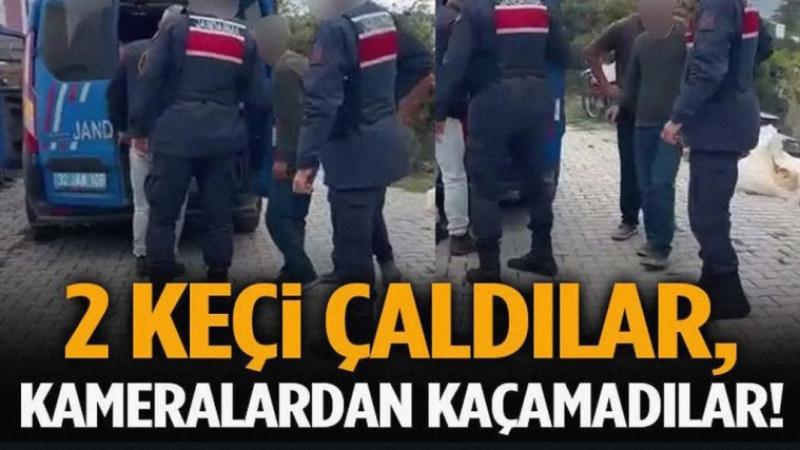 Kameralardan Kaçamadılar: Deregümü’nde 2 Keçi Çalan Hırsızlar Tutuklandı!