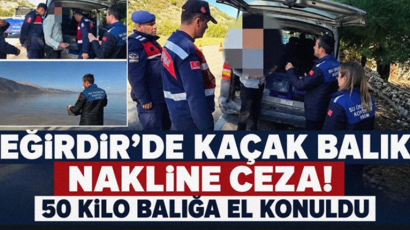 EĞİRDİR'DE KAÇAK BALIK NAKLİNE DARBE: 47 BİN TL CEZA!