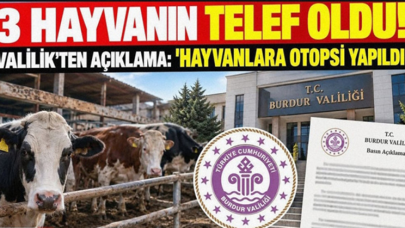 Burdur’da Şüpheli Hayvan Ölümleri: Valilik İnceleme Başlattı